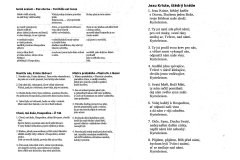 Program