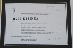 kosinka-7