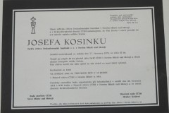 kosinka-8