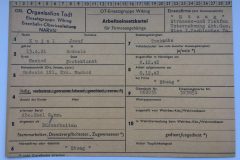 Zdroj: Databáze nuceně nasazených Čechů v Norsku