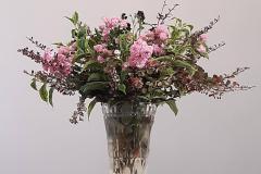 IMG-20231008-WA0001